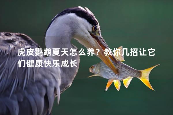 虎皮鹦鹉夏天怎么养？教你几招让它们健康快乐成长