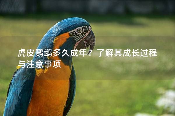 虎皮鹦鹉多久成年？了解其成长过程与注意事项