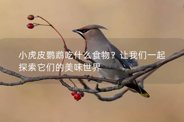 小虎皮鹦鹉吃什么食物？让我们一起探索它们的美味世界