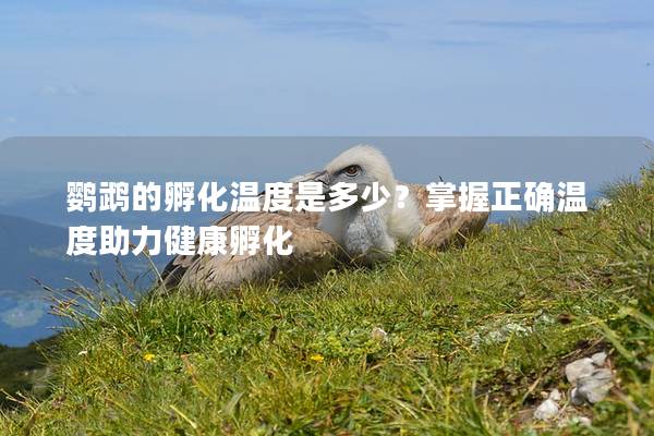 鹦鹉的孵化温度是多少？掌握正确温度助力健康孵化