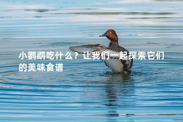 小鹦鹉吃什么？让我们一起探索它们的美味食谱