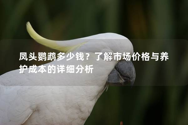 凤头鹦鹉多少钱？了解市场价格与养护成本的详细分析