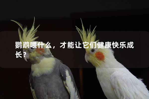 鹦鹉喂什么，才能让它们健康快乐成长？