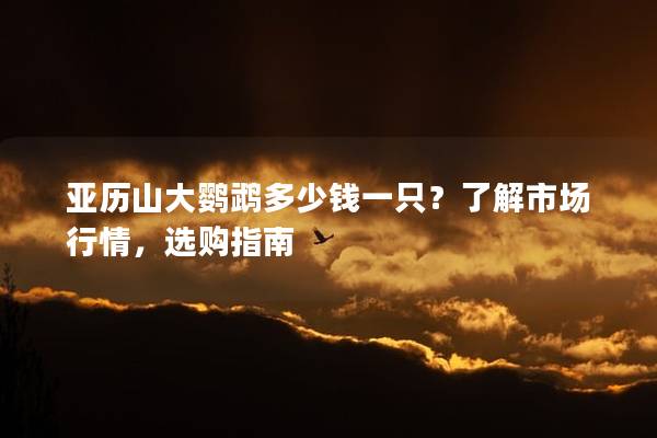 亚历山大鹦鹉多少钱一只？了解市场行情，选购指南