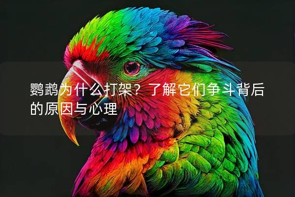 鹦鹉为什么打架？了解它们争斗背后的原因与心理