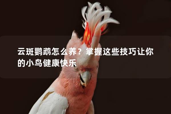 云斑鹦鹉怎么养？掌握这些技巧让你的小鸟健康快乐