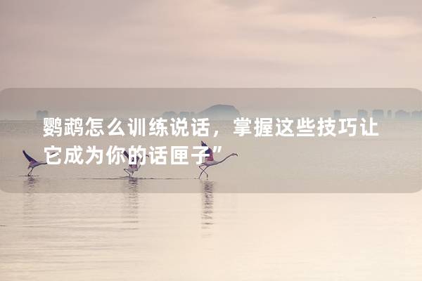 鹦鹉怎么训练说话，掌握这些技巧让它成为你的话匣子”
