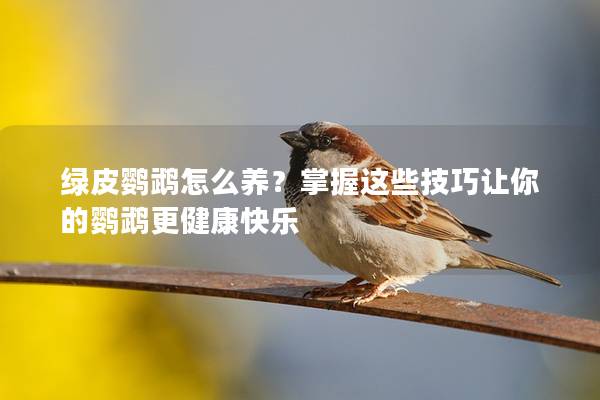 绿皮鹦鹉怎么养？掌握这些技巧让你的鹦鹉更健康快乐