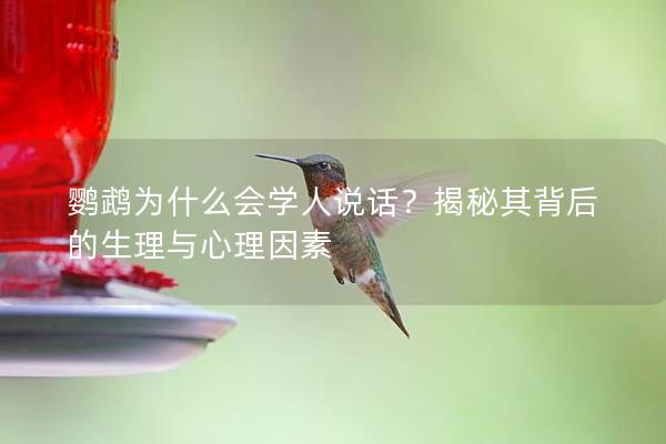 鹦鹉为什么会学人说话？揭秘其背后的生理与心理因素