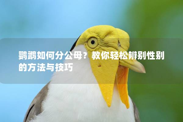 鹦鹉如何分公母？教你轻松辨别性别的方法与技巧