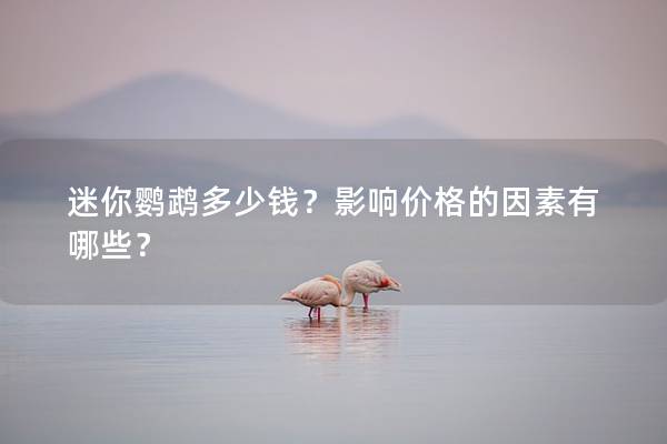 迷你鹦鹉多少钱？影响价格的因素有哪些？