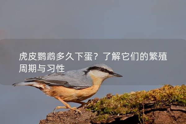 虎皮鹦鹉多久下蛋？了解它们的繁殖周期与习性