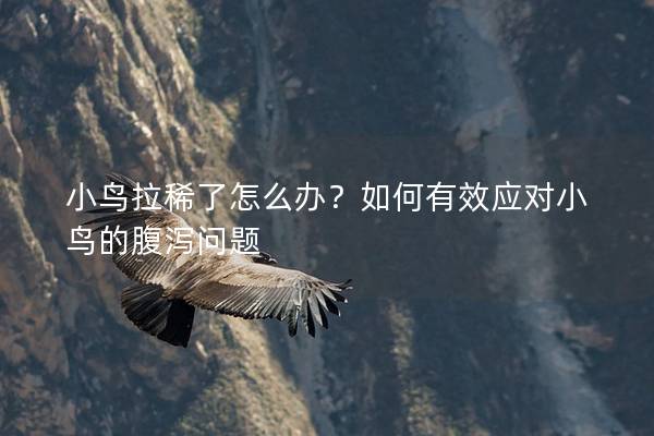 小鸟拉稀了怎么办？如何有效应对小鸟的腹泻问题